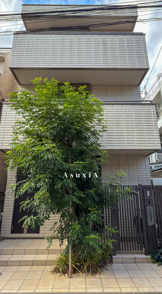 ルミエール学芸大学