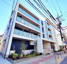 〈シニア限定〉カメリア赤塚