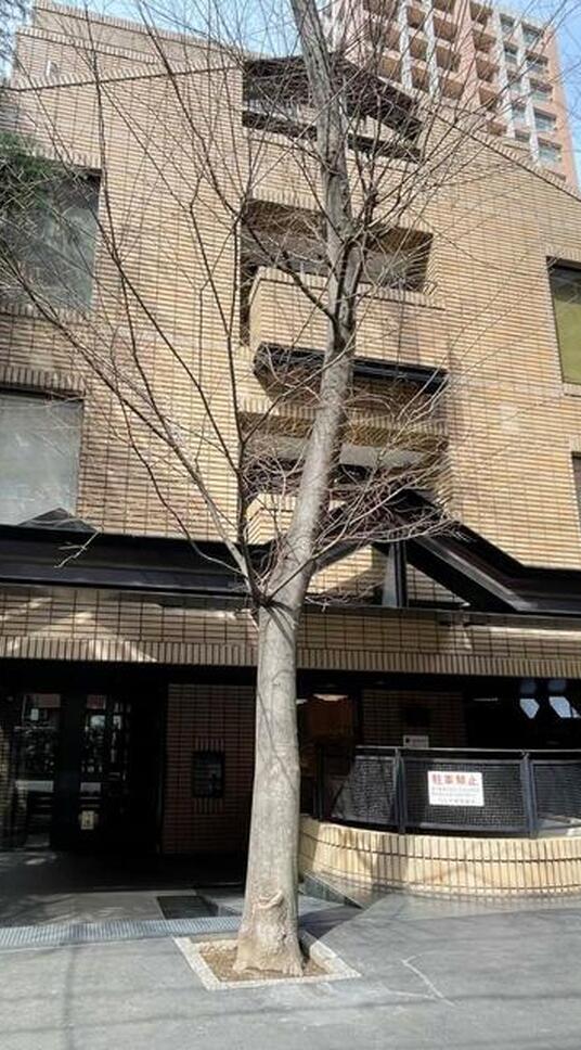 ベルテ代々木Ⅱ