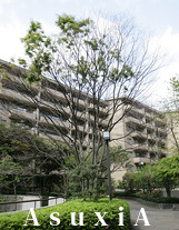 広尾ガーデンヒルズM棟