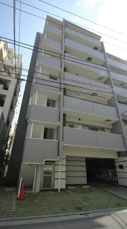 ルピナス・住吉