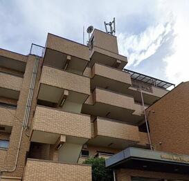 三高・サンマグノリア