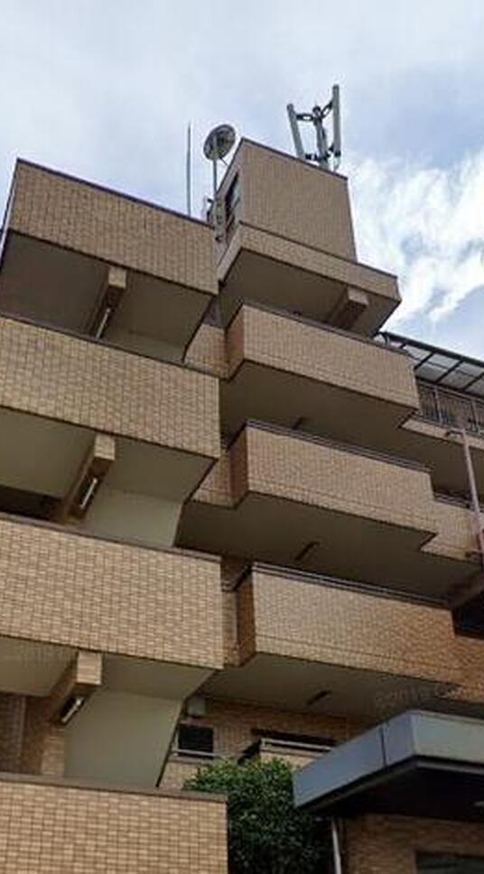 三高・サンマグノリア