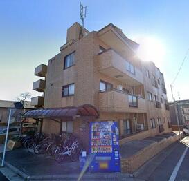 サンマグノリア