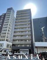 MAITORI YOTSUYA マイトリヨツヤ