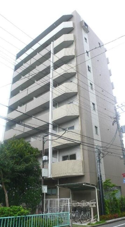 ディライトコート