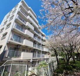 常盤台パークハイツ