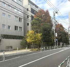 センチュリーフォレスト テラスF 南向き