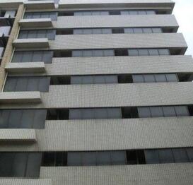 第二ルナマンション