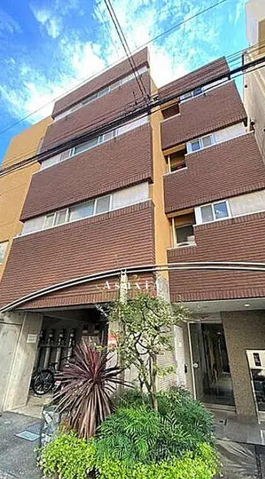 MTスプリングガーデン