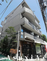 ステラトーショー