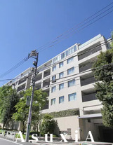 センチュリーフォレスト