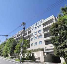 センチュリーフォレスト