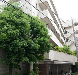 高雅ホームズ学芸大