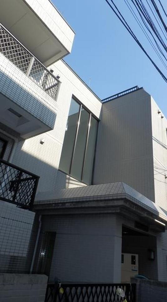 白金グリーンコートナラ