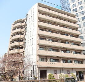 フリーディオ大崎