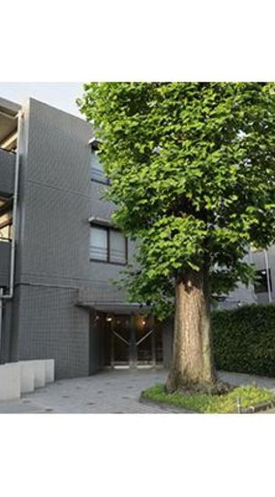 レジデンスシャルマン林試の森