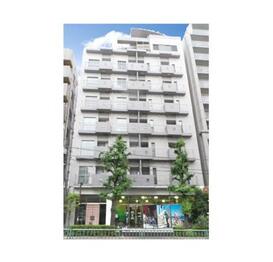 ホワイトフロント