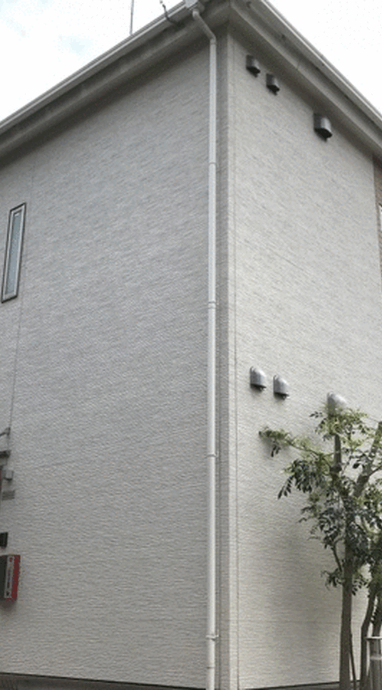 メゾン四谷一丁目C棟