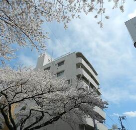 小石川播磨坂ハイツ