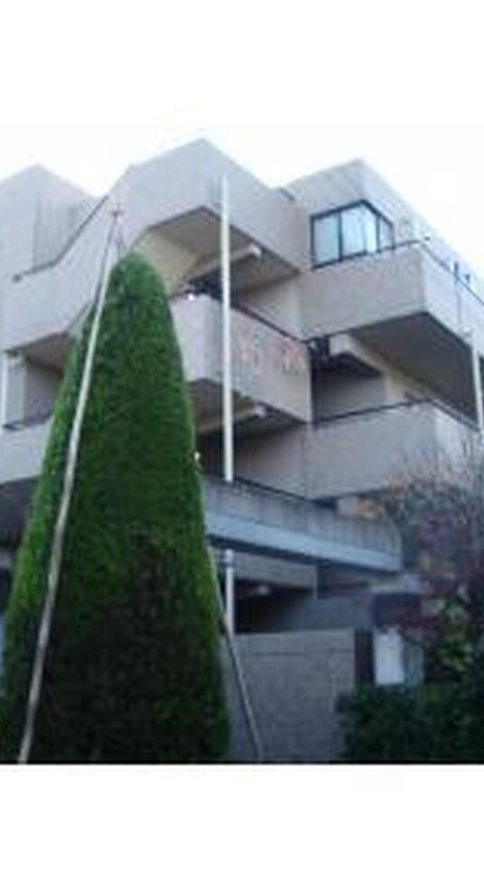 コートガーディニア