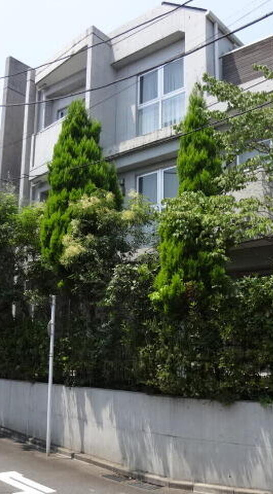 サンホームズ代々木上原